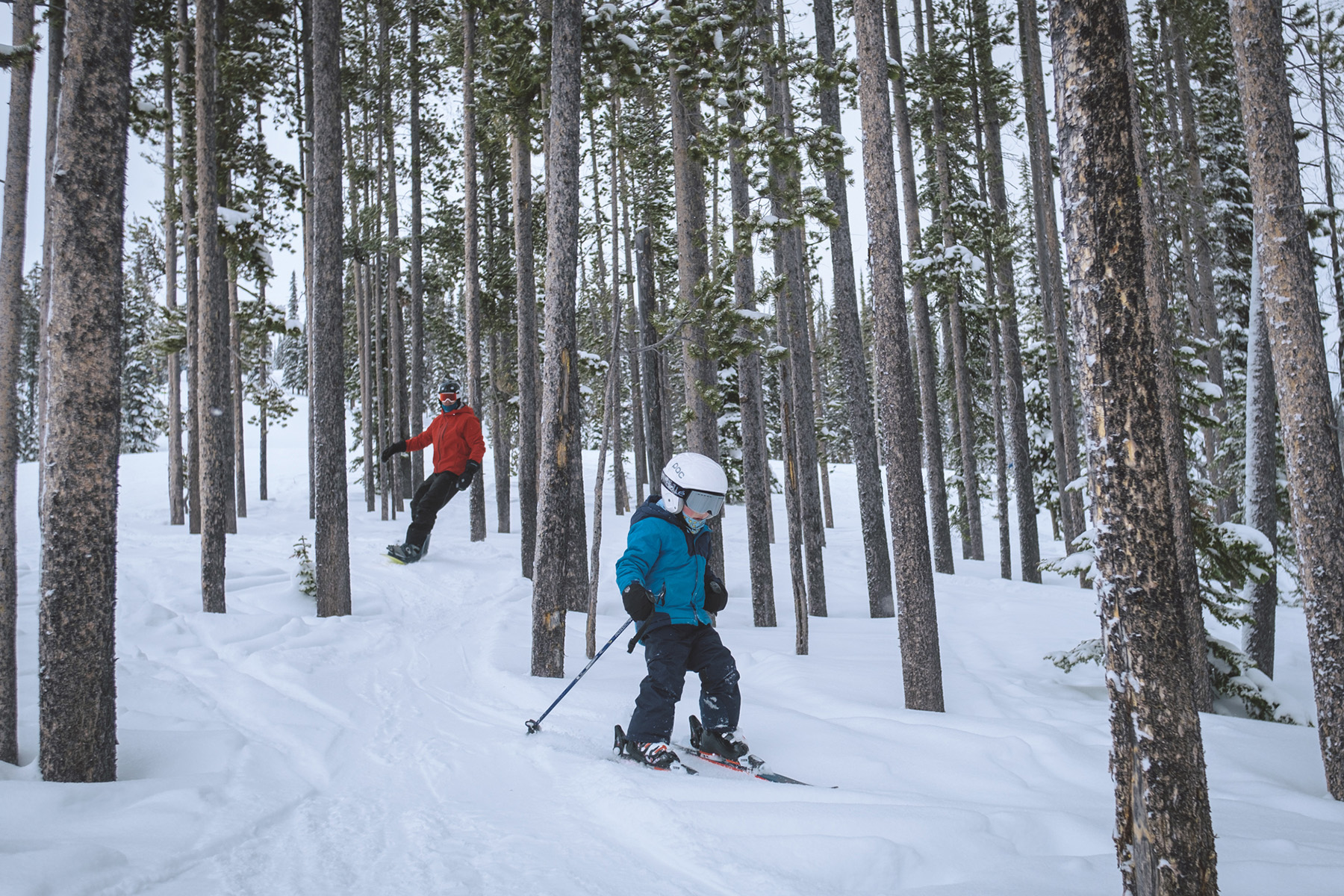 SkiIdaho23 24 LostTrail GladeSkiing med