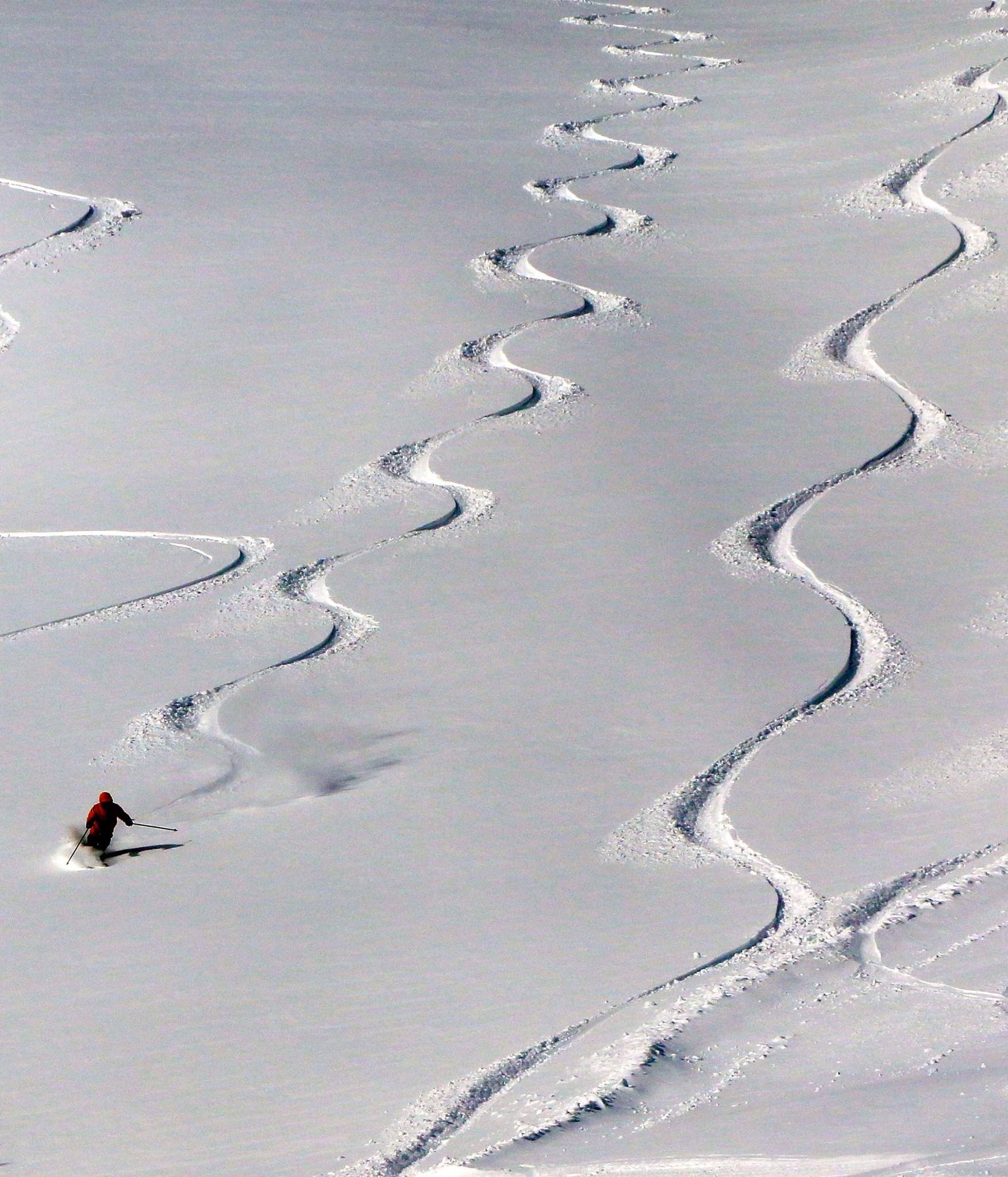 Ski Lookout